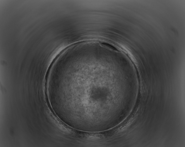 X0000090880899200708031029