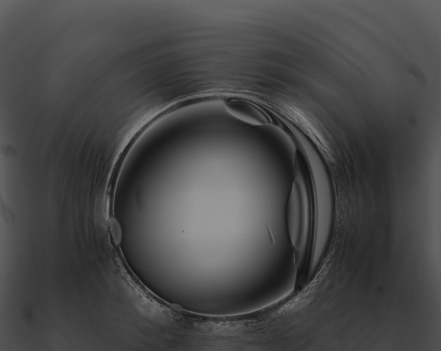 X0000090880900200708031029