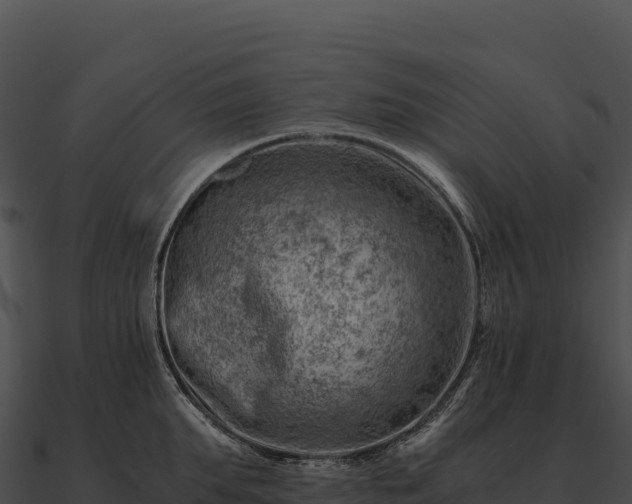 X0000090880903200708031028