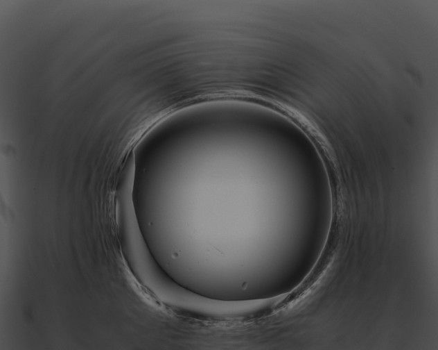X0000090880905200708031028