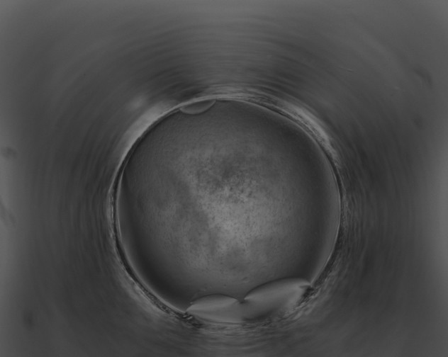 X0000090880907200708031028