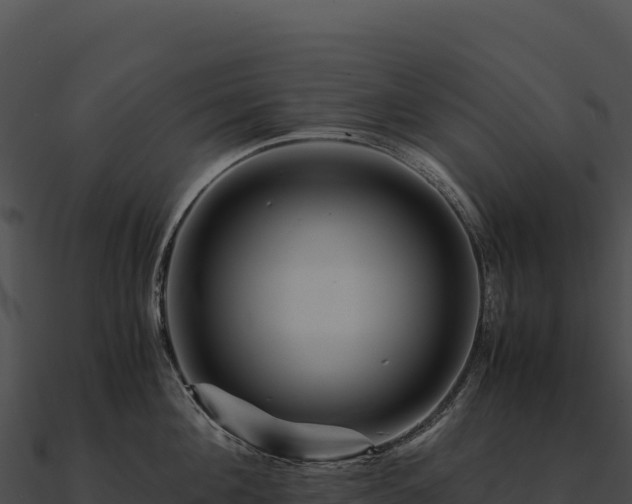 X0000090880908200708031028