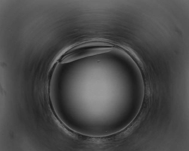 X0000090880910200708031028