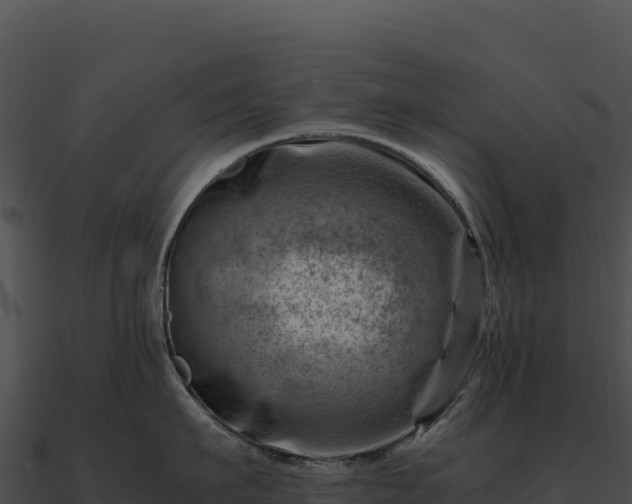 X0000090880911200708031028