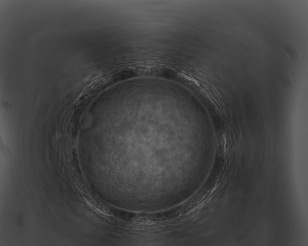 X0000090880913200708031028