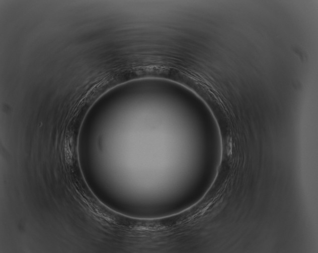 X0000090880915200708031028