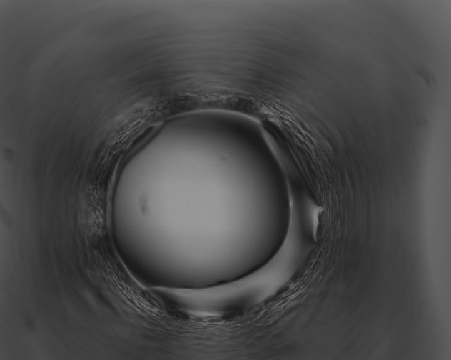 X0000090880916200708031028