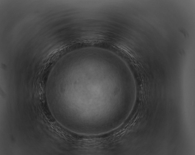 X0000090880917200708031028