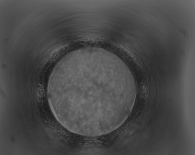 X0000090880918200708031028