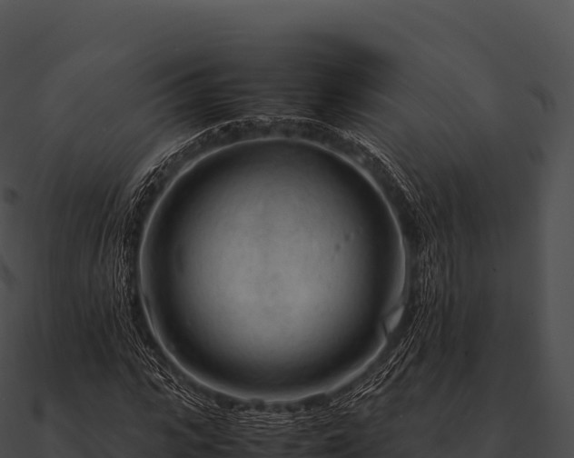 X0000090880919200708031028