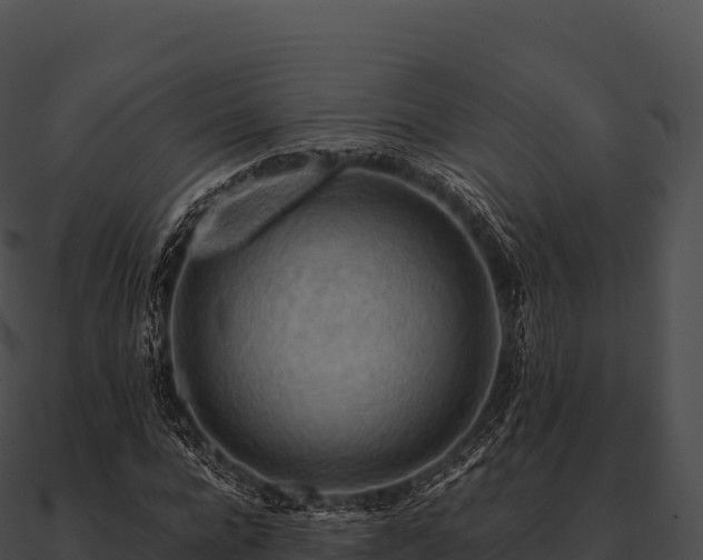 X0000090880920200708031028