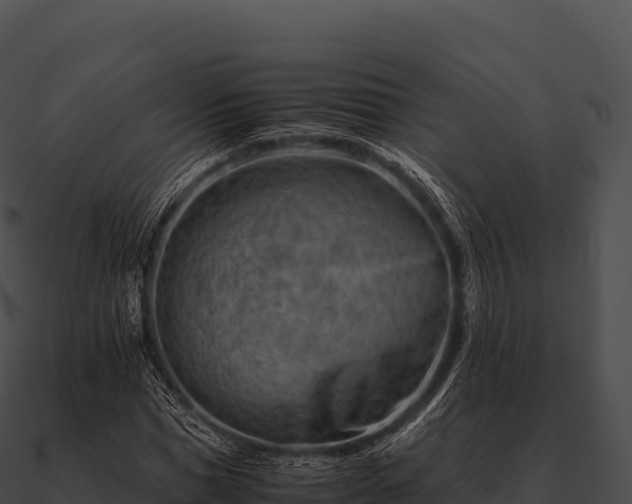 X0000090880921200708031028