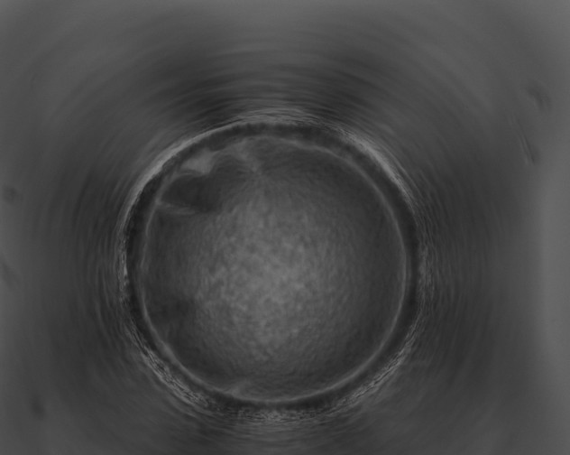 X0000090880923200708031028