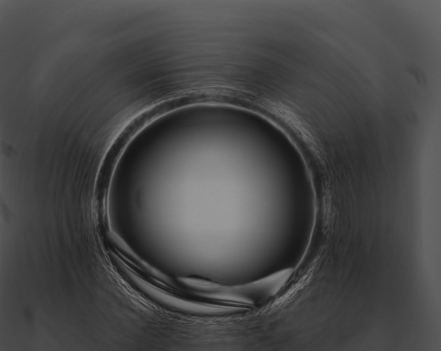 X0000090880924200708031028