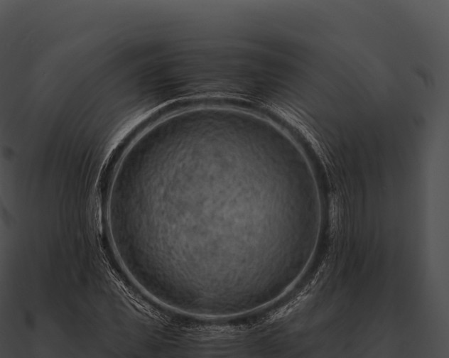 X0000090880925200708031028