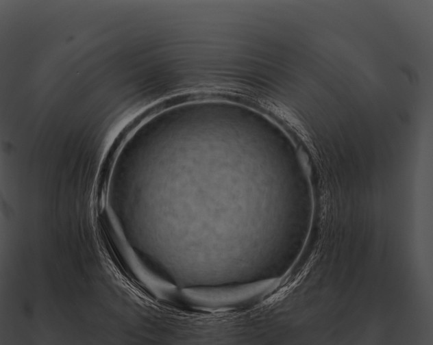 X0000090880928200708031028