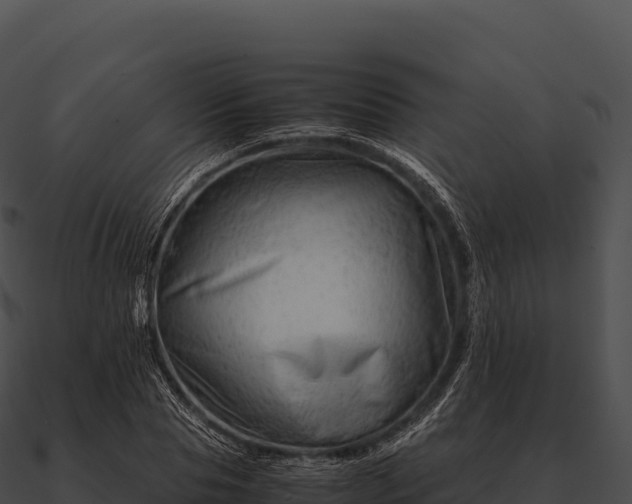 X0000090880929200708031028
