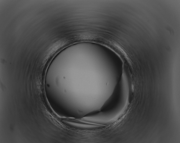 X0000090880930200708031028