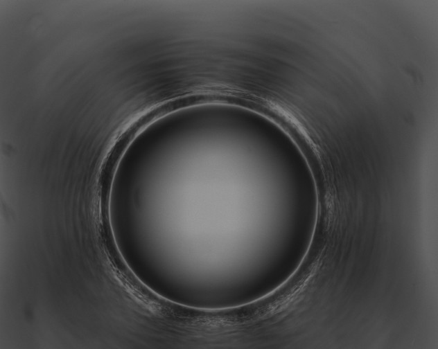 X0000090880931200708031028
