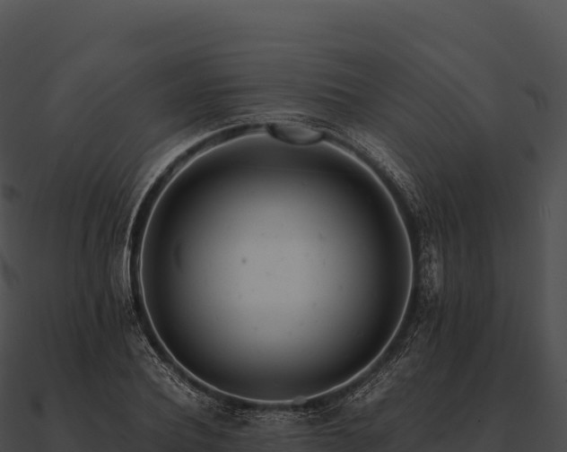 X0000090880932200708031028