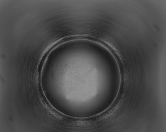 X0000090880933200708031028