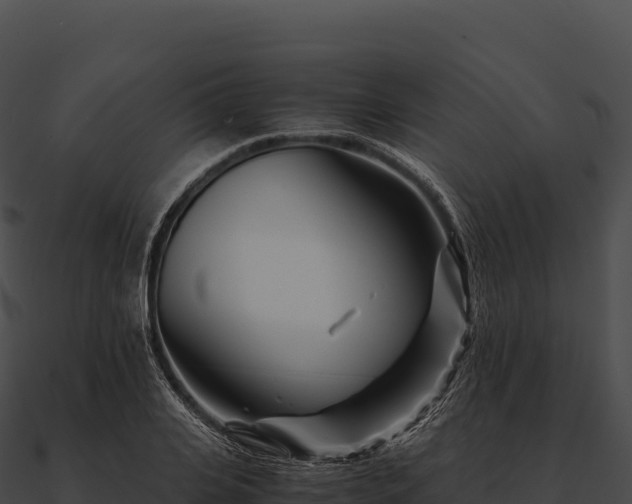 X0000090880935200708031028