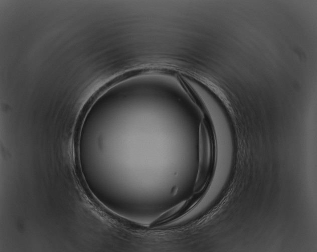 X0000090880936200708031028