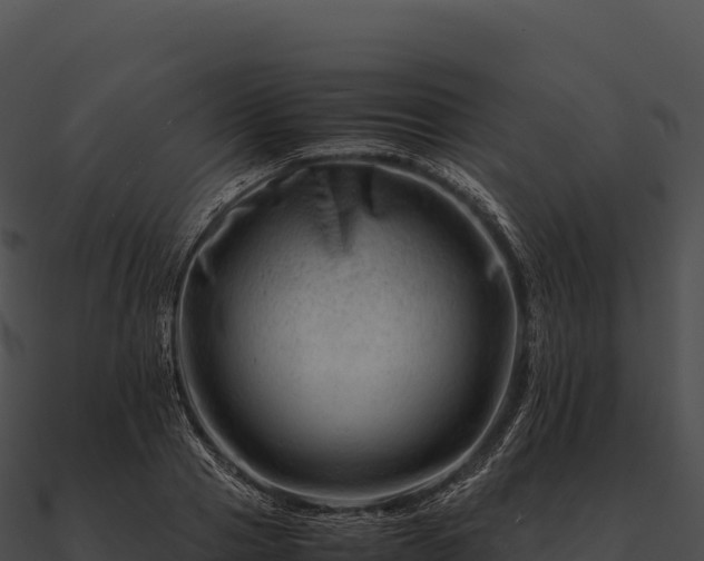 X0000090880937200708031028