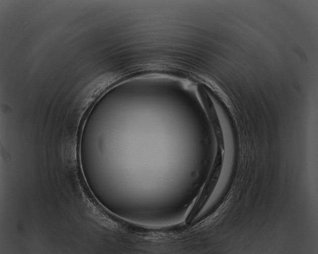 X0000090880938200708031028