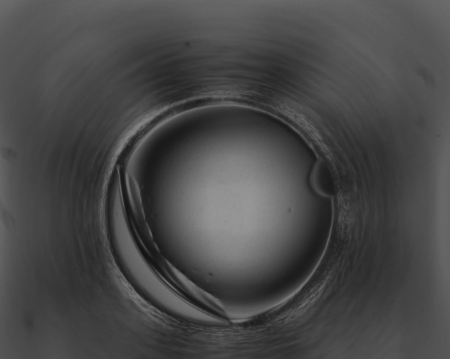 X0000090880939200708031028