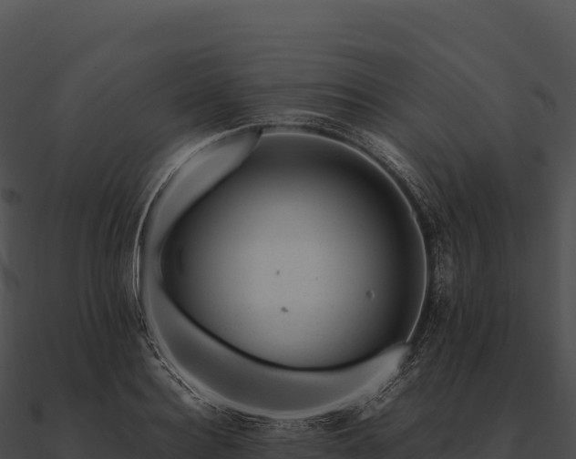 X0000090880940200708031028