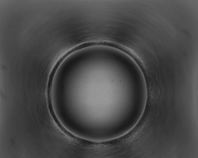 X0000090880943200708031028