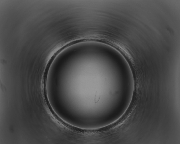 X0000090880944200708031028