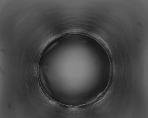 X0000090880945200708031028
