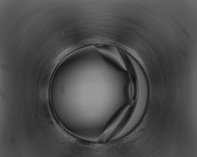 X0000090880946200708031028