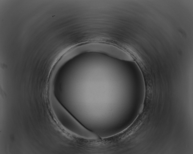 X0000090880948200708031028