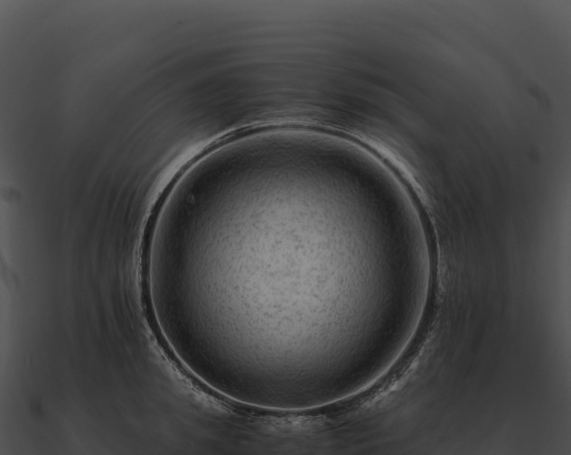 X0000090880949200708031028