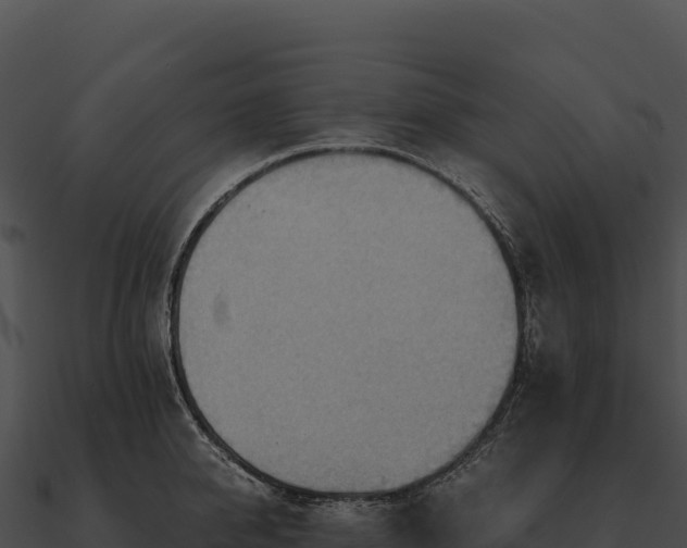 X0000090880950200708031028