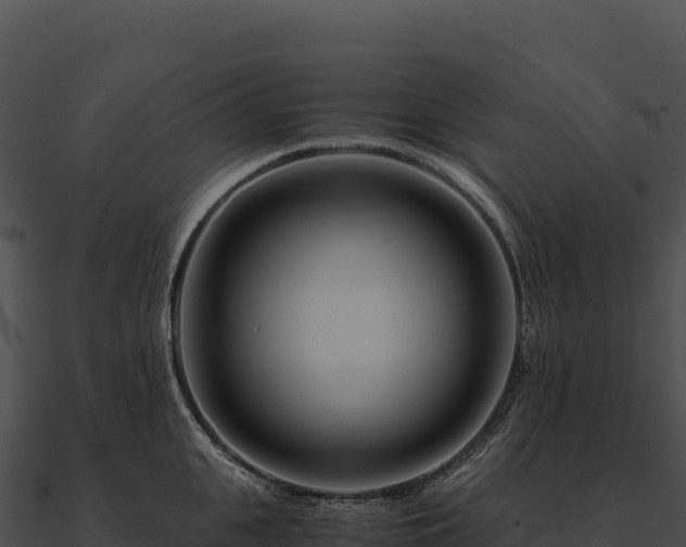 X0000090880951200708031028