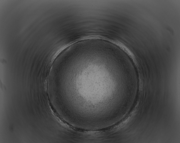 X0000090880953200708031028