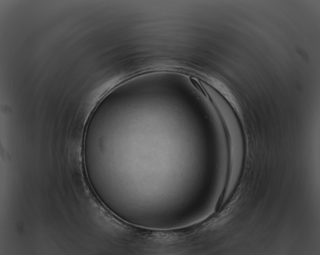 X0000090880954200708031028