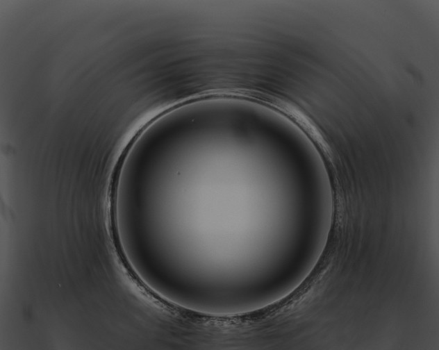 X0000090880955200708031028