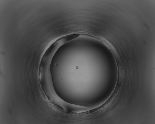 X0000090880956200708031028