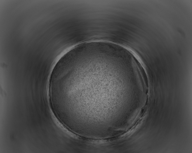 X0000090880957200708031028