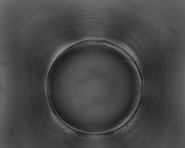 X0000090880958200708031028