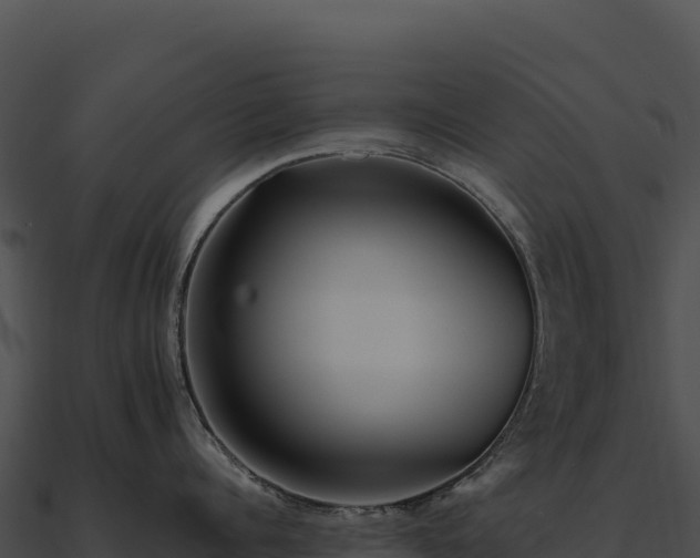 X0000090880960200708031028