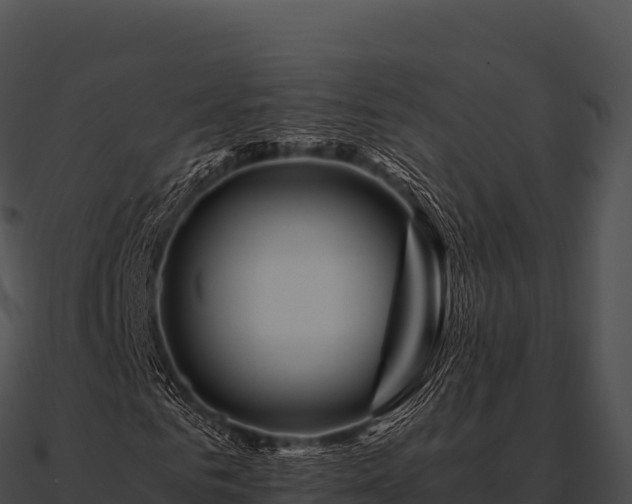 X0000090880961200708031028