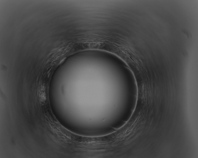X0000090880962200708031028