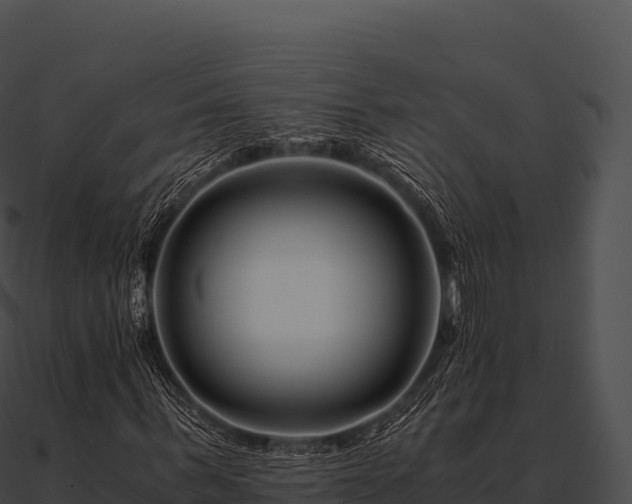 X0000090880963200708031028