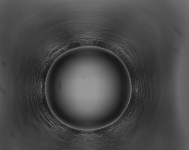 X0000090880964200708031028